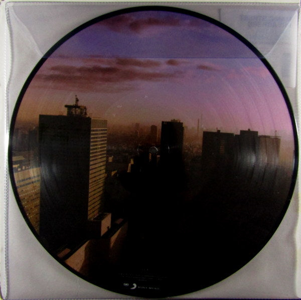 the ultra vivid lament - Pic Disc LP